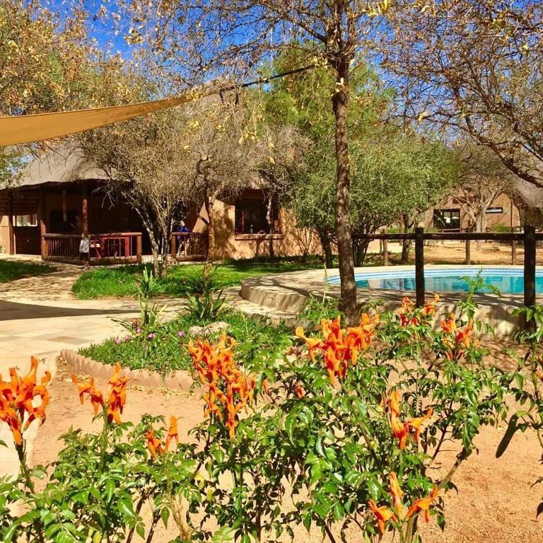 Golden Impalas Bush Resort Hammanskraal Exteriér fotografie